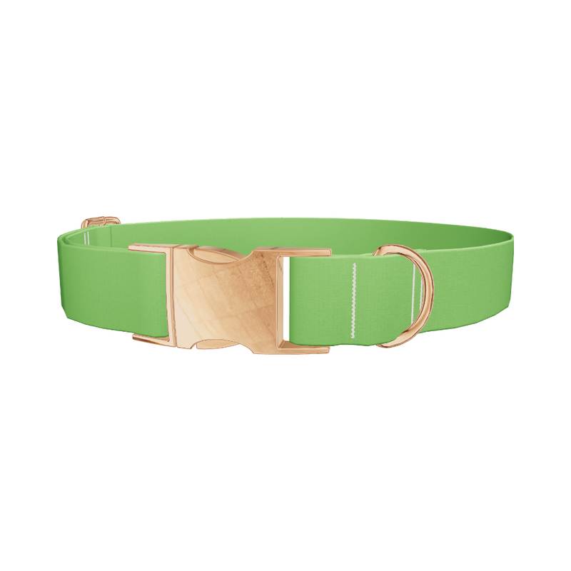 Lost Golfer Color Dog Collar