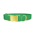 Shamrock Field Color Dog Collar - Thumbnail 1