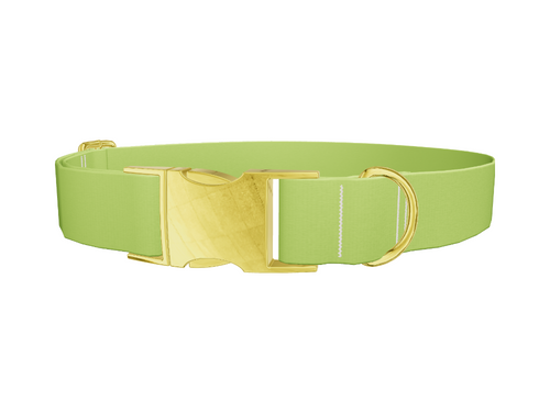 Seductive Thorns Color Dog Collar