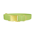Seductive Thorns Color Dog Collar - Thumbnail 1