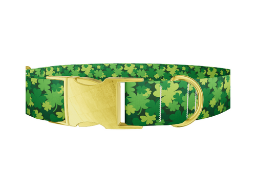St Patrick's Clover Dog Collar