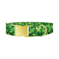 St Patrick's Clover Dog Collar - Thumbnail 1