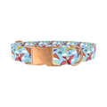 Dinosaur Adventure Dog Collar - Thumbnail 2