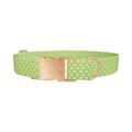 Lime Green Polka Dot Dog Collar - Thumbnail 2