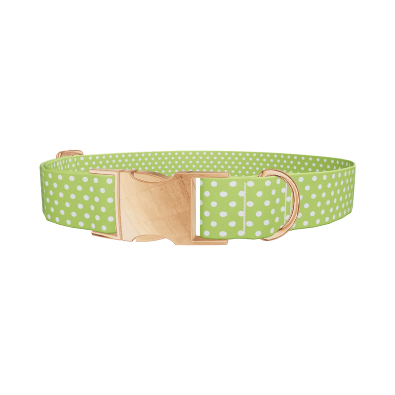 Lime Green Polka Dot Dog Collar