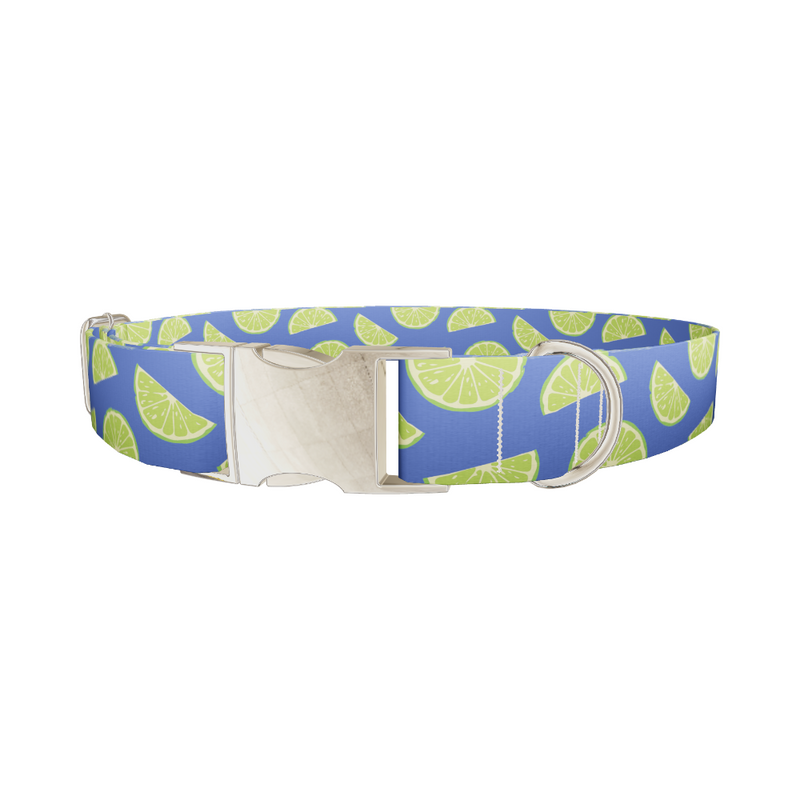Lime Fruit Dog Collar