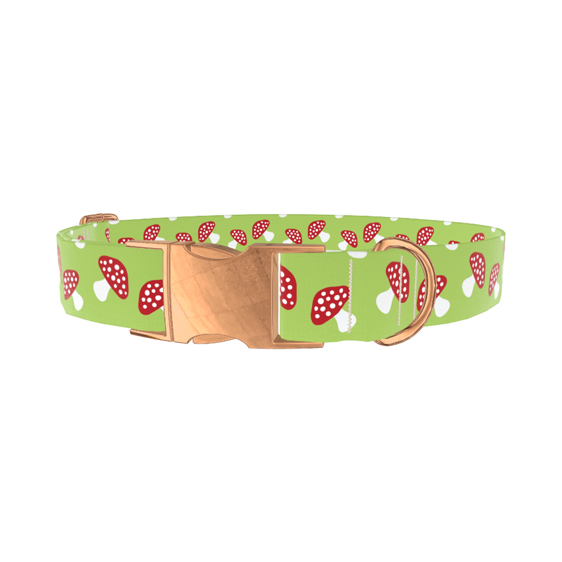 Green Mushroom Dog Collar