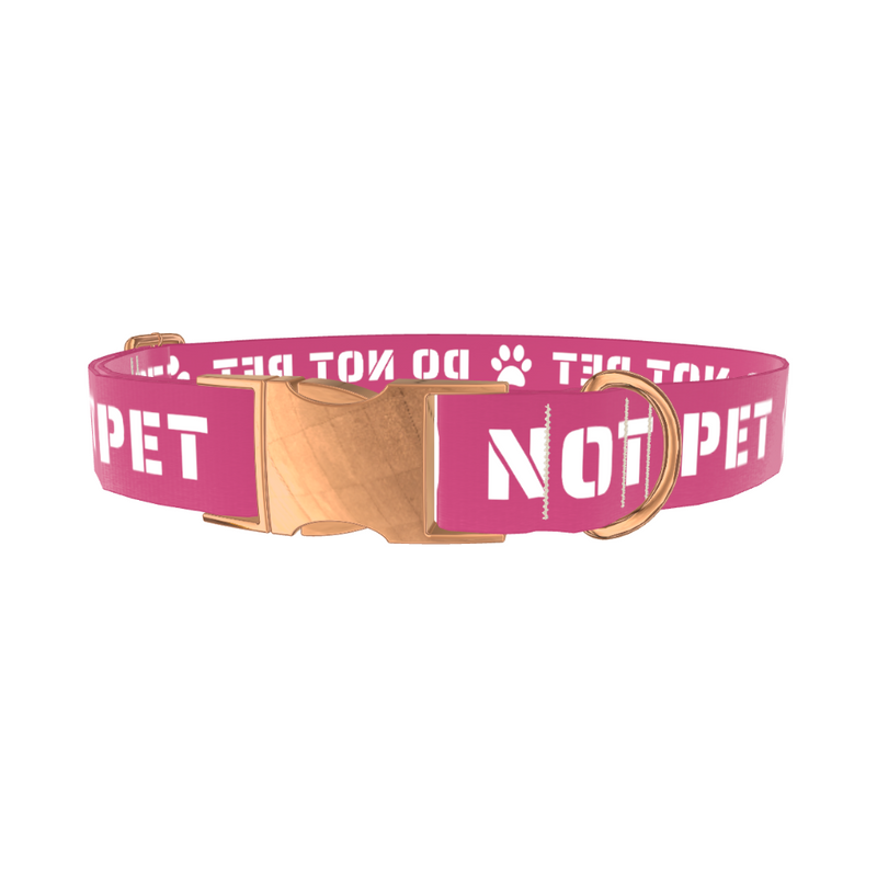 Pink Do Not Pet Dog Collar