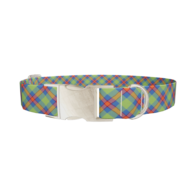 Colorful Tartan Dog Collar