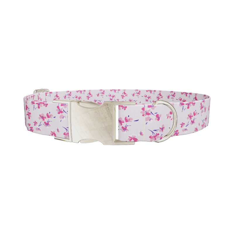 Floral Cherry Blossom Dog Collar