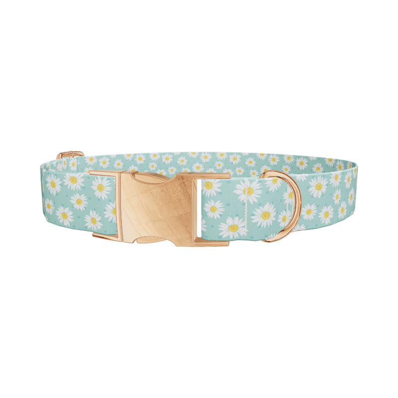 Teal Polka Dot Daisy Dog Collar