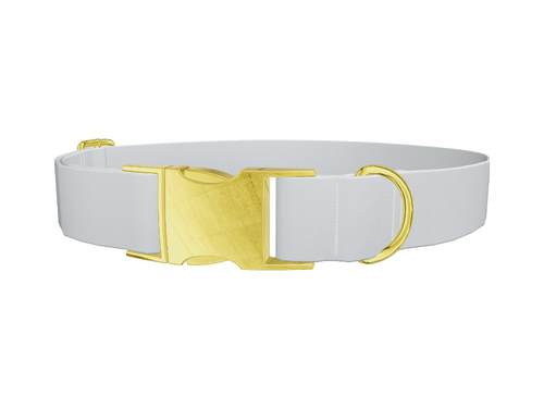 Elemental Color Dog Collar