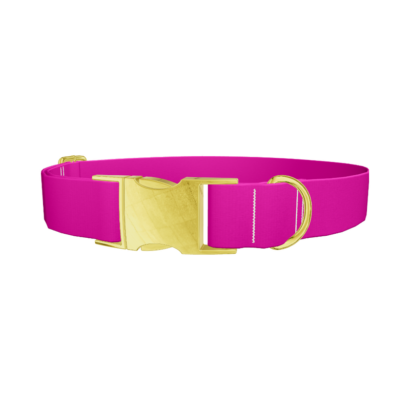 Snappy Violet Color Dog Collar