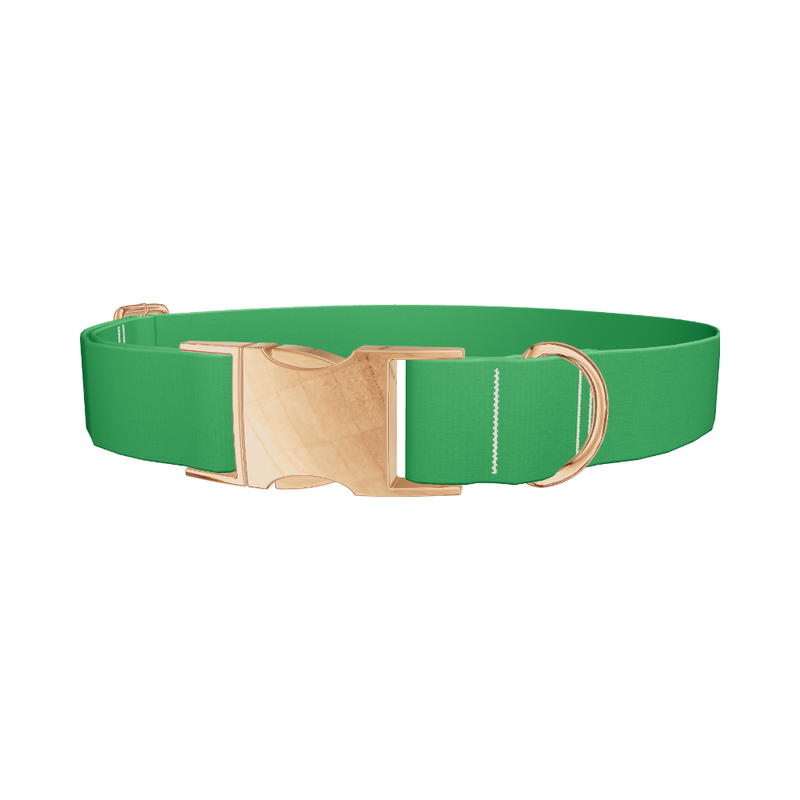 Shamrock Field Color Dog Collar