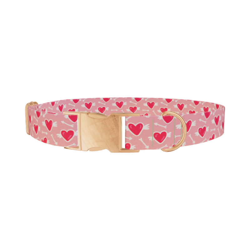 Winged Heart Arrow Dog Collar