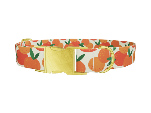 Fruit Orange Dog Collar