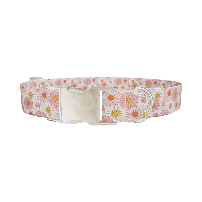Chamomile Floral Dog Collar
