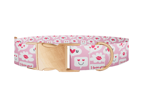 Love Speech Bubble Dog Collar