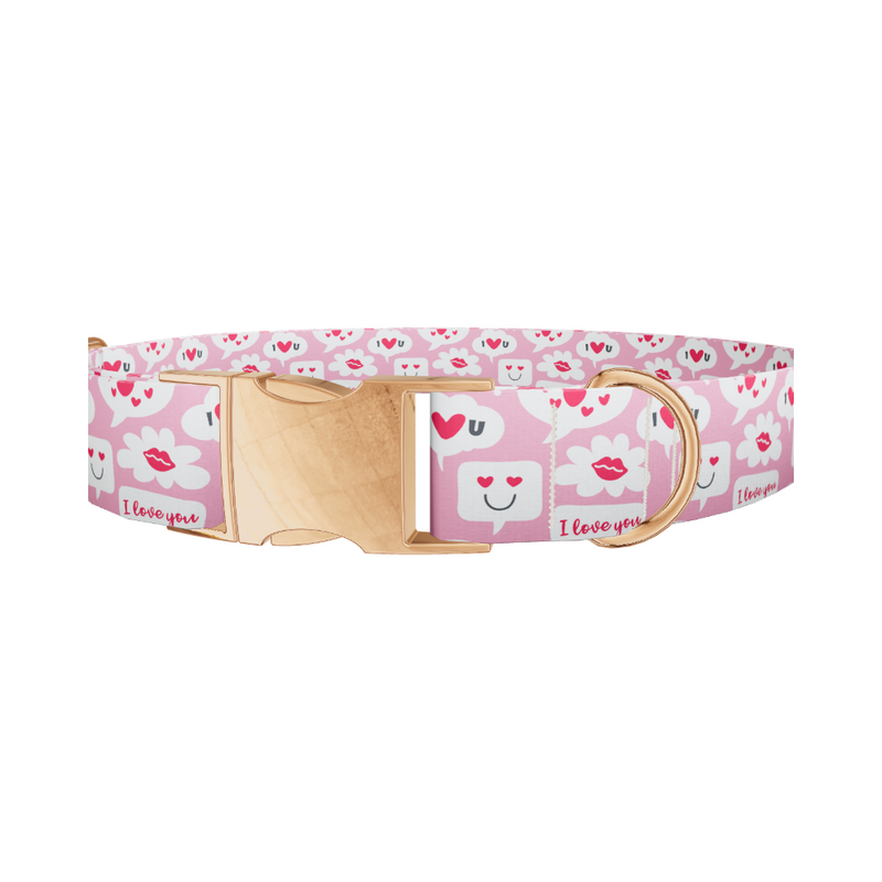 Love Speech Bubble Dog Collar