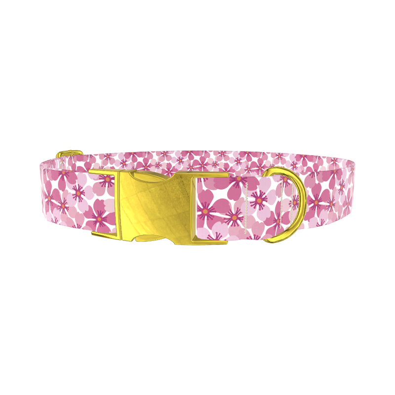 Pink Sakura Blossom Dog Collar
