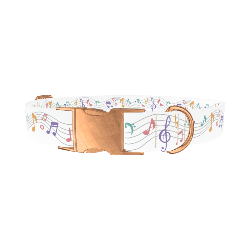 Colorful Music Notes Dog Collar