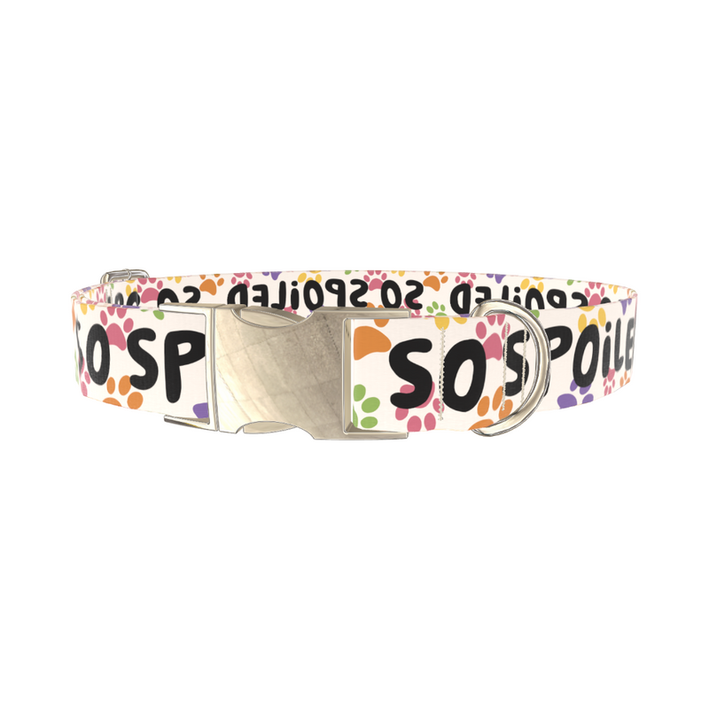 Paw Print Pattern Dog Collar