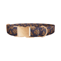 Halloween Witchy Dog Collar - Thumbnail 2