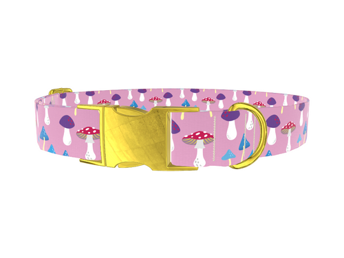 Multicolor Mushroom Dog Collar