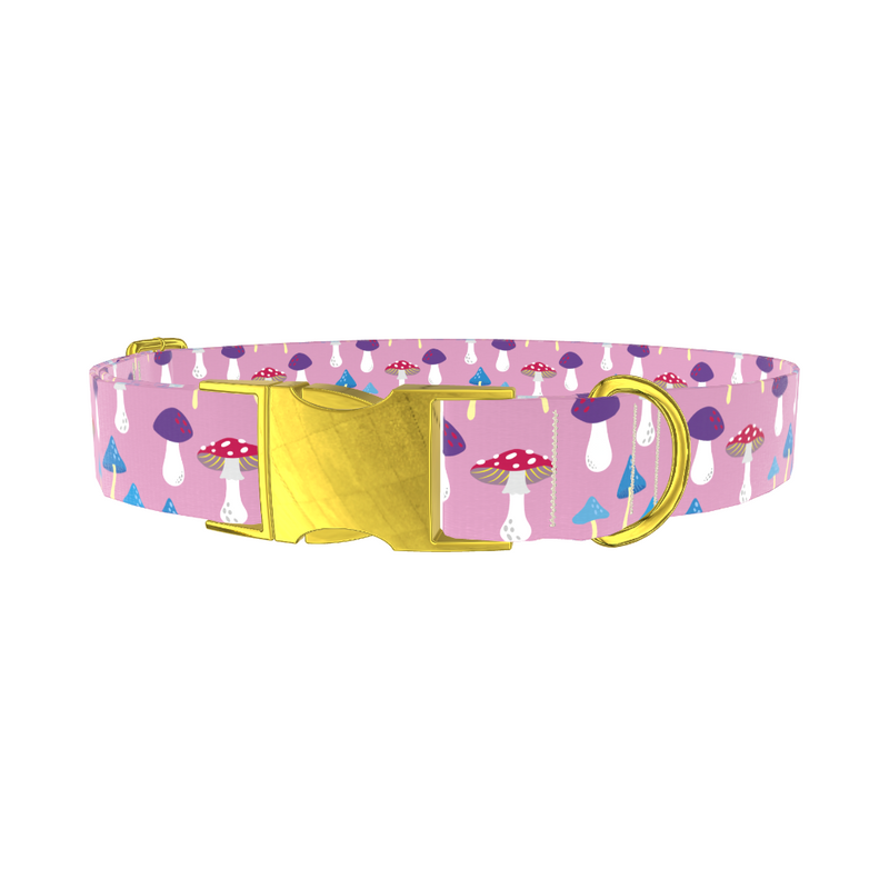 Multicolor Mushroom Dog Collar