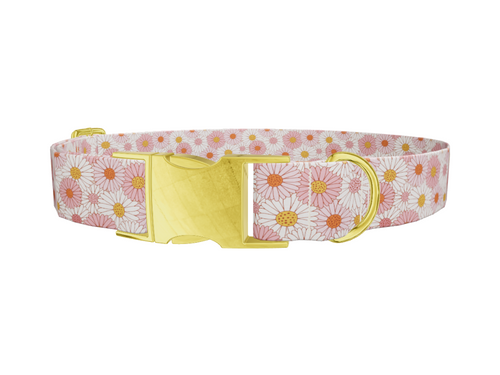 Chamomile Floral Dog Collar