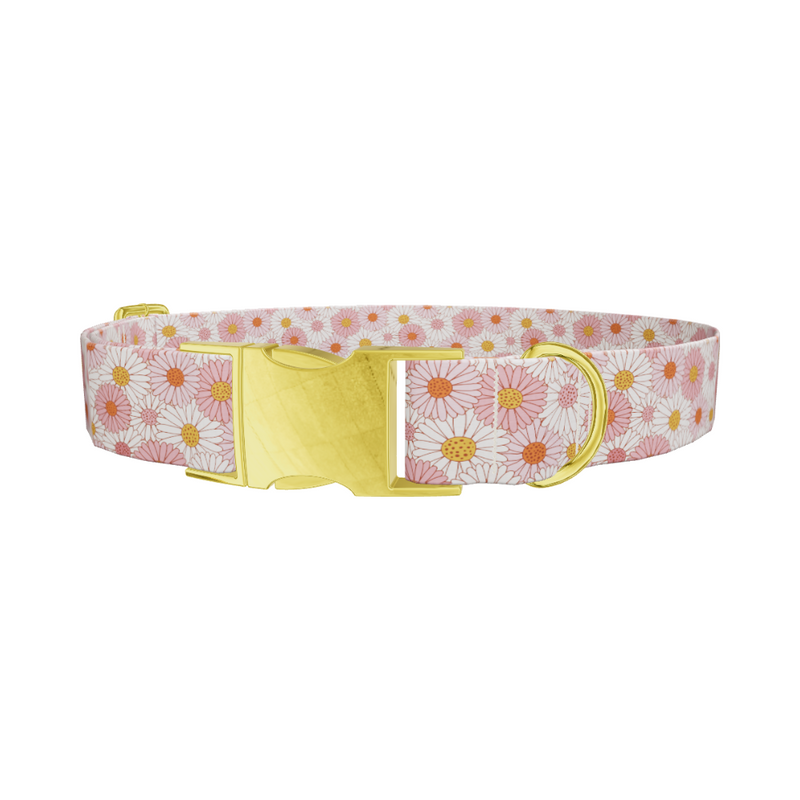 Chamomile Floral Dog Collar