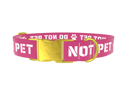 Do Not Pet Dog Collar
