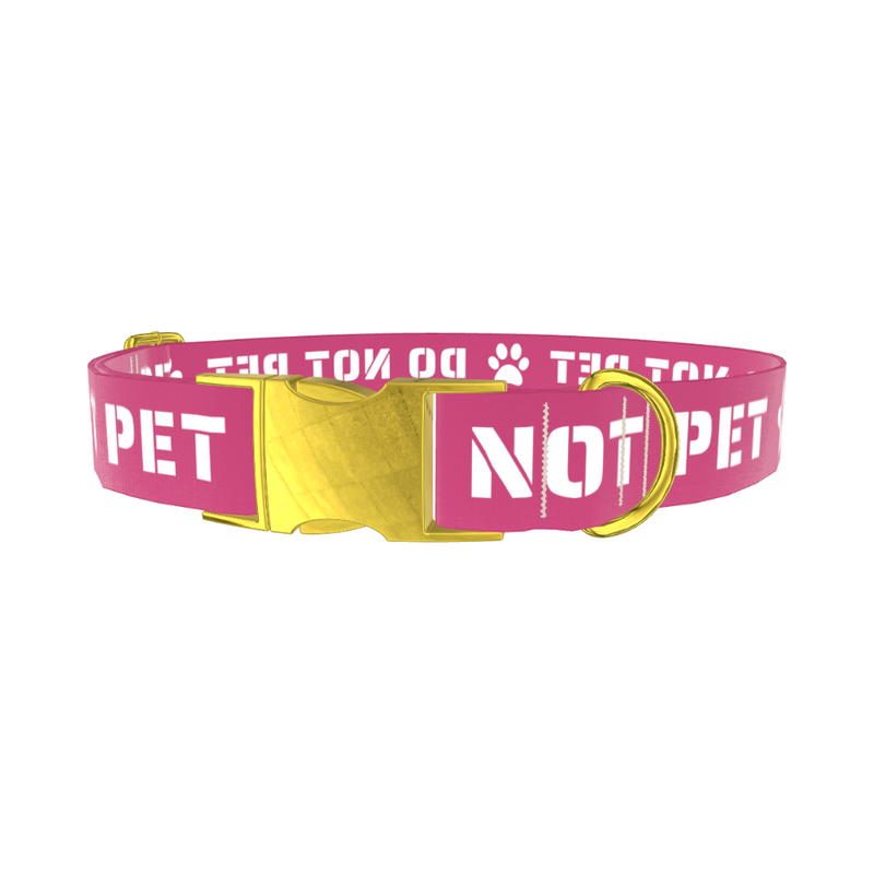 Do Not Pet Dog Collar
