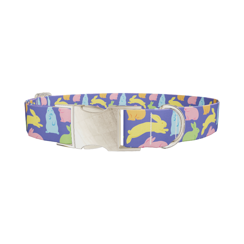 Colorful Bunny Pattern Dog Collar