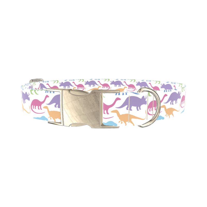 Colorful Dinosaur Dog Collar