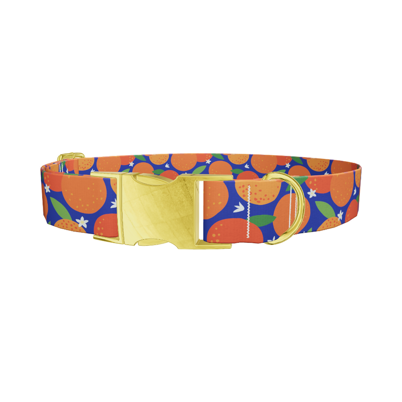 Orange Fruit Dog Collar