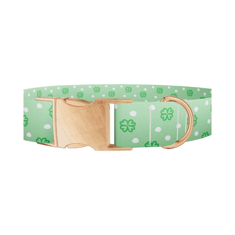Polka Dot Clover Dog Collar