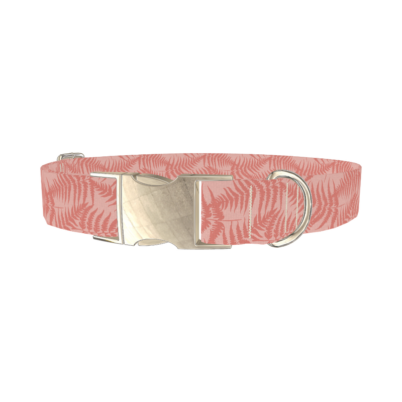Floral Fern Dog Collar