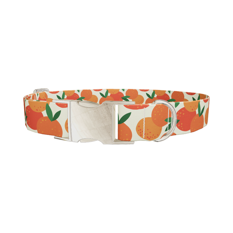 Fruit Orange Dog Collar