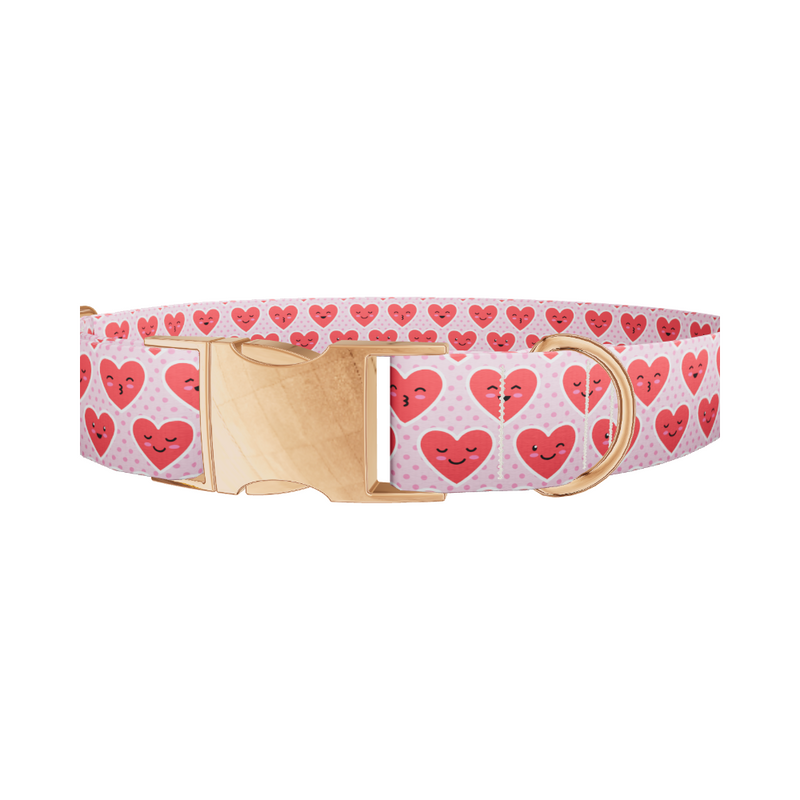 Polka Dot Heart Dog Collar