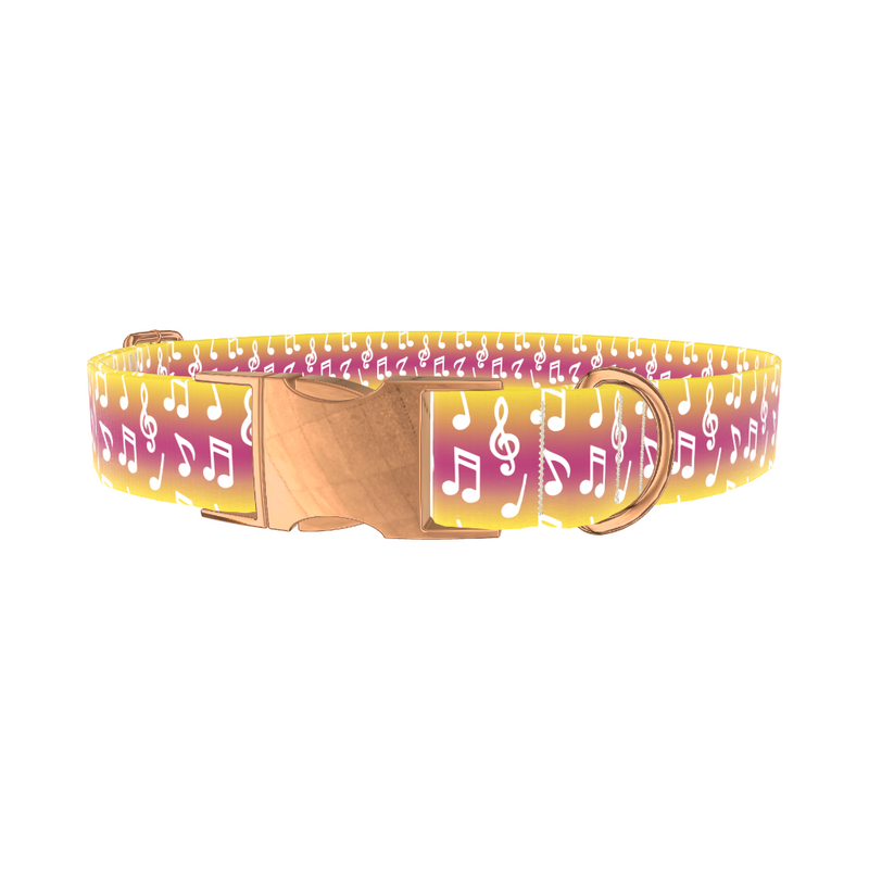 Gradient Musical Note Dog Collar