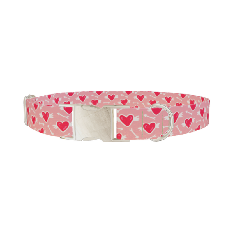 Winged Heart Arrow Dog Collar