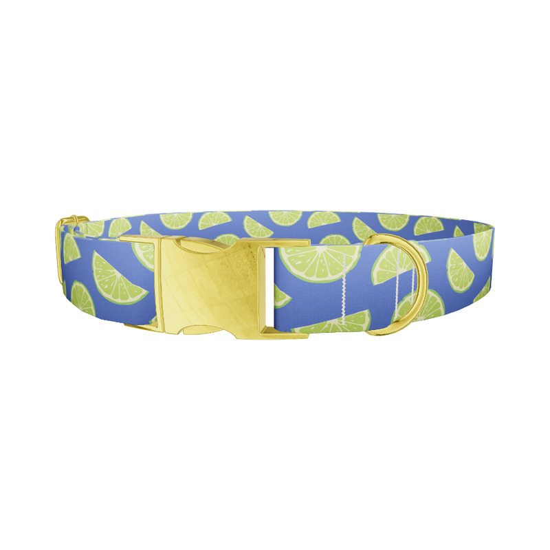 Lime Fruit Dog Collar