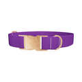 Maximum Purple Color Dog Collar - Thumbnail 2