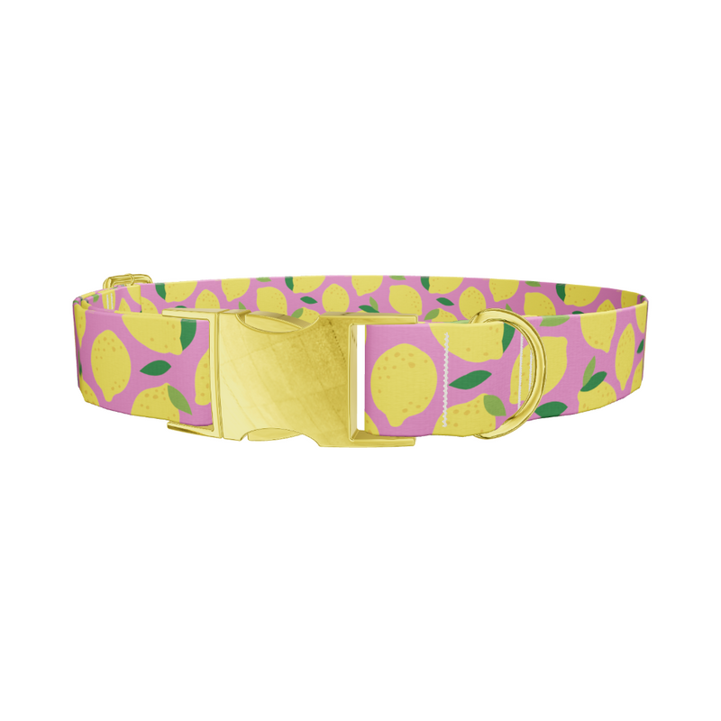 Pink Lemon Pattern Dog Collar