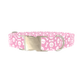 Skull and Bones Dog Collar - Thumbnail 3