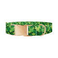 St Patrick's Clover Dog Collar - Thumbnail 2