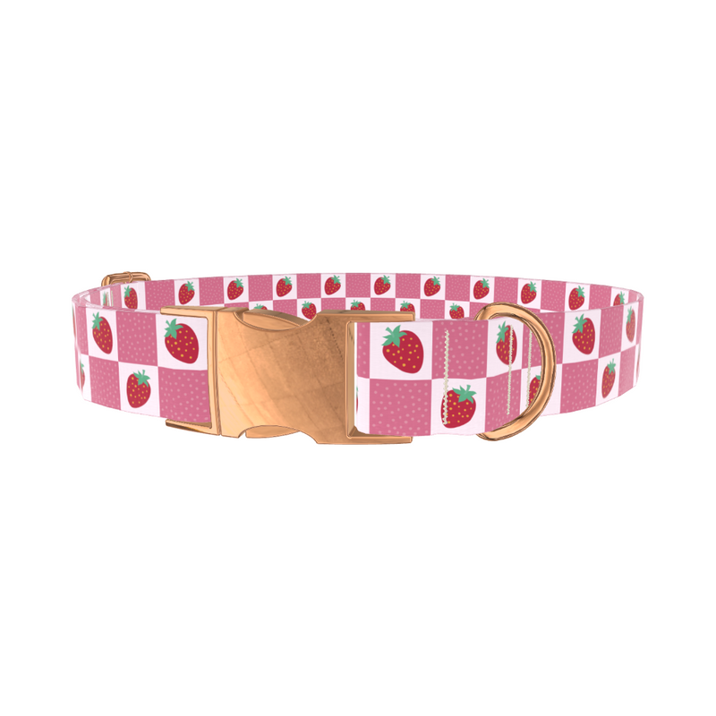 Strawberry Patch Dog Collar