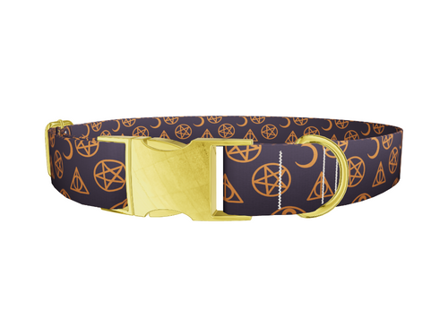 Halloween Witchy Dog Collar