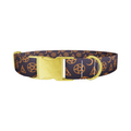Halloween Witchy Dog Collar - Thumbnail 1